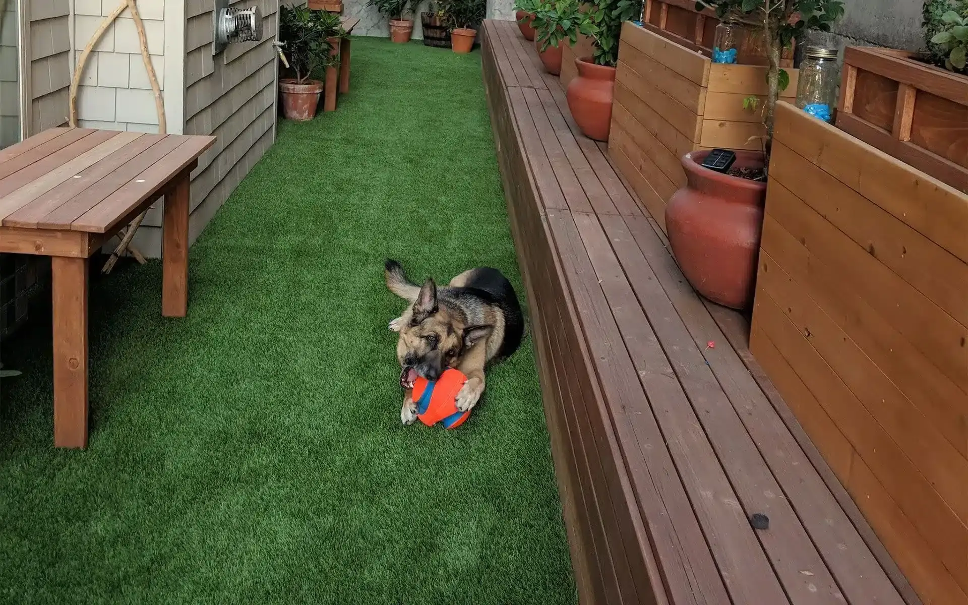 Artificial Pet Turf Installation in North Richland Hills, TX